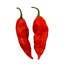 two ghost peppers