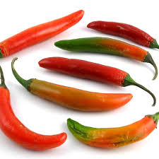 serrano chili pepper's coloring orange and red, one commercial step hotter than a jalapeño.